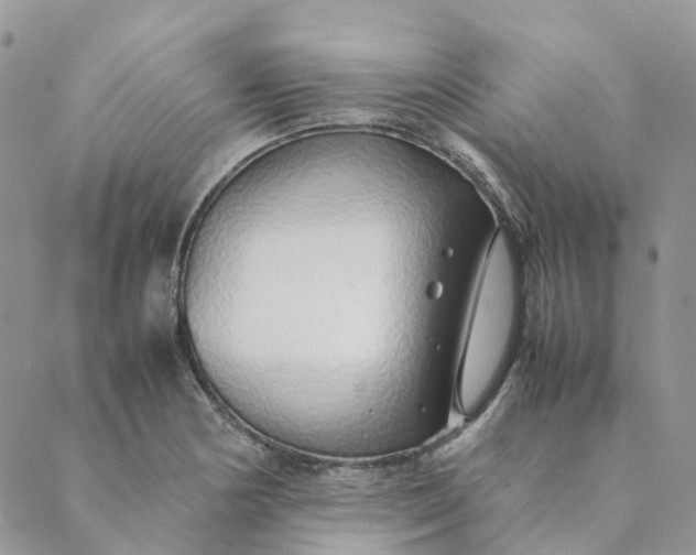 X0000089361178200707061042