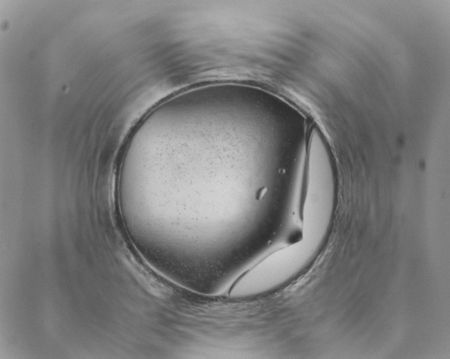 X0000089361179200707061042