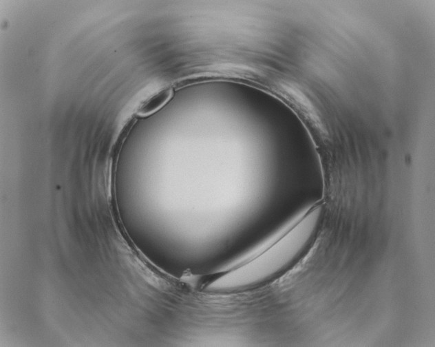 X0000089361180200707061042