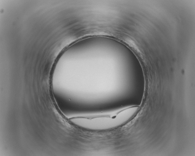 X0000089361181200707061042