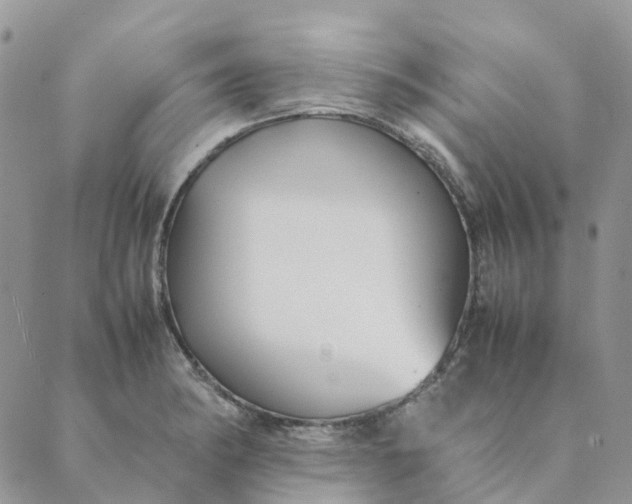 X0000089361182200707061042