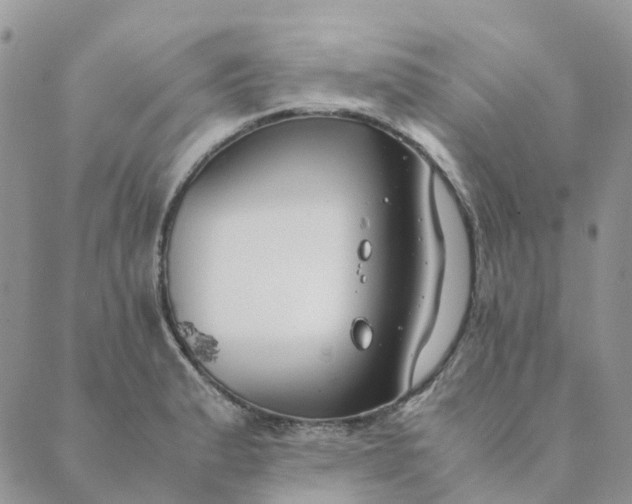 X0000089361183200707061042