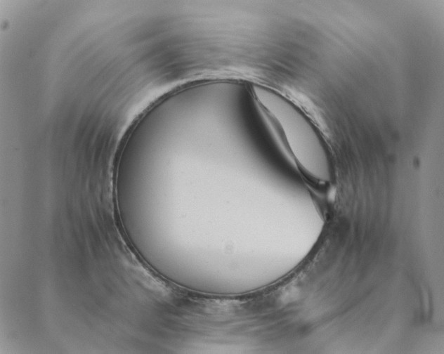 X0000089361184200707061042