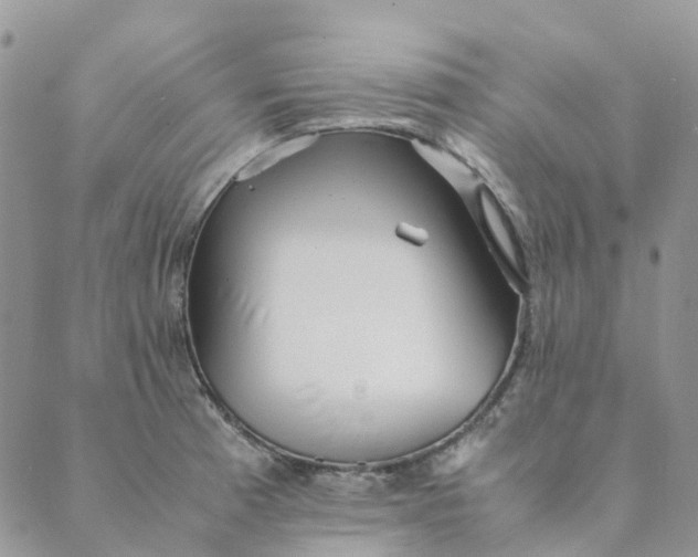 X0000089361185200707061042