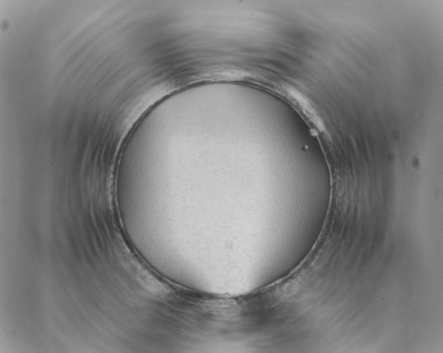 X0000089361186200707061042