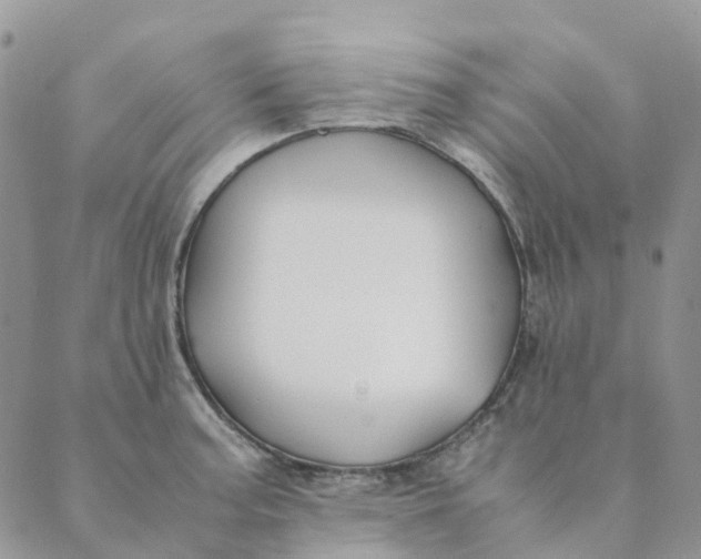 X0000089361187200707061042