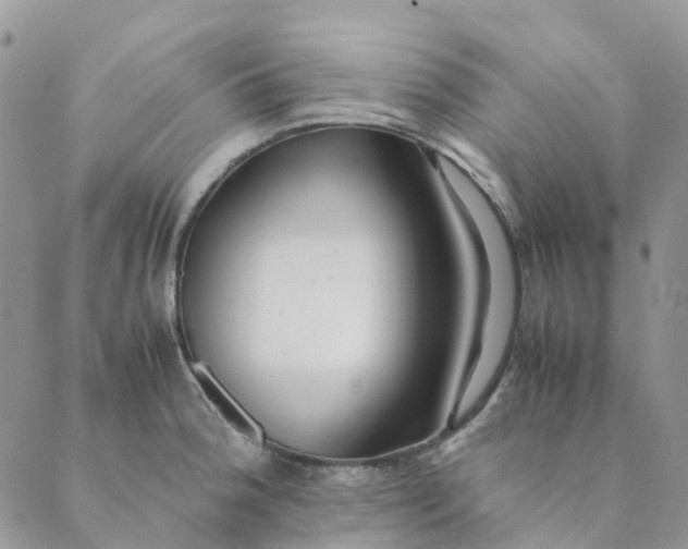 X0000089361188200707061042