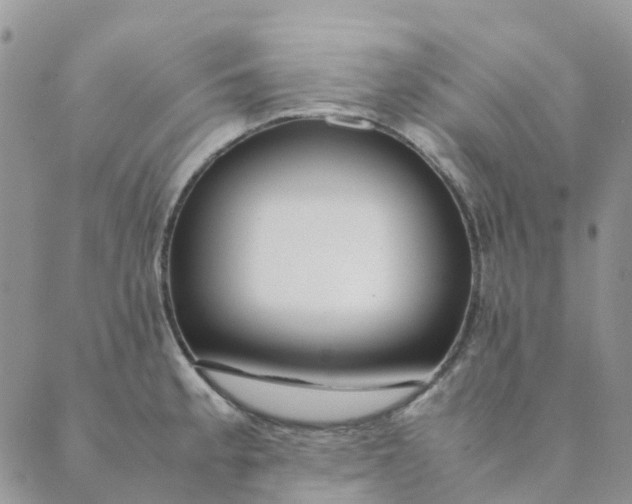 X0000089361189200707061042