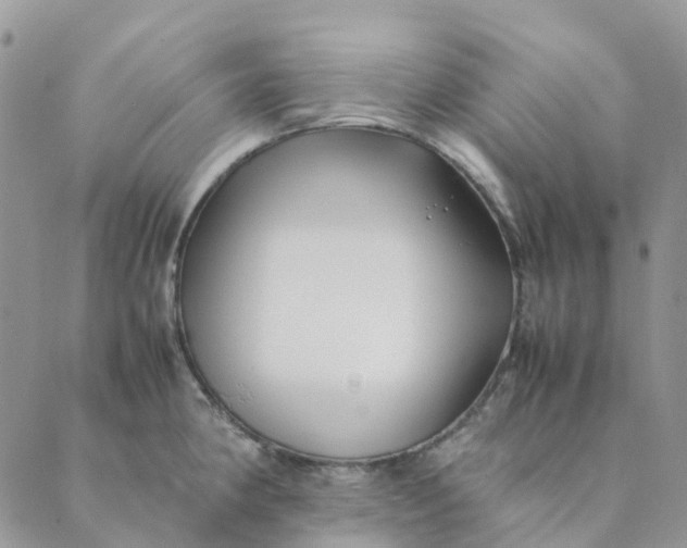 X0000089361190200707061042