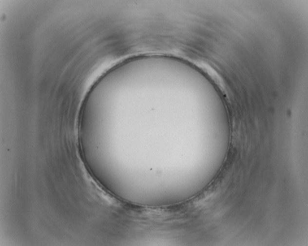 X0000089361191200707061042