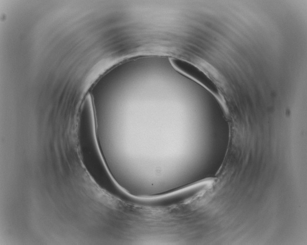 X0000089361192200707061042