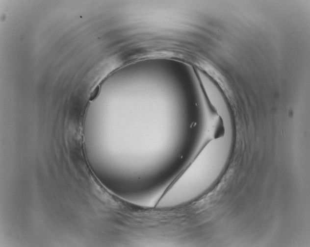 X0000089361193200707061042