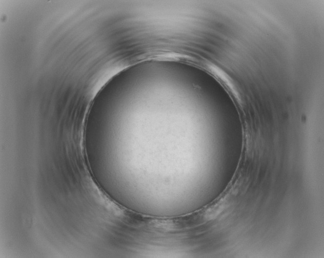 X0000089361194200707061042