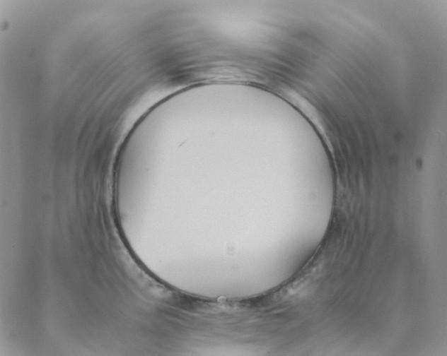 X0000089361195200707061041