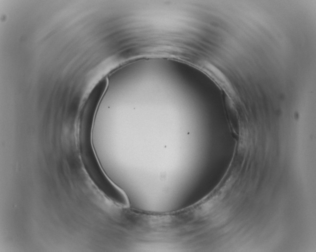 X0000089361196200707061041