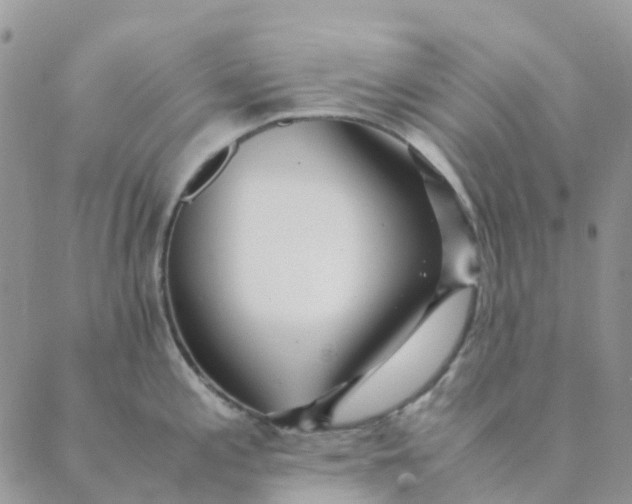 X0000089361197200707061041