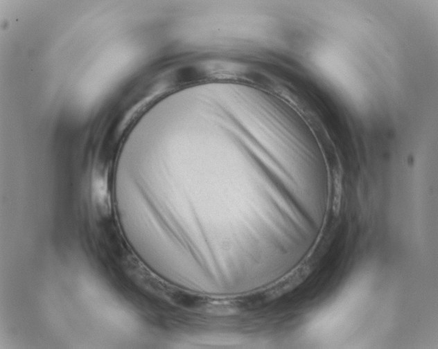 X0000089361198200707061041