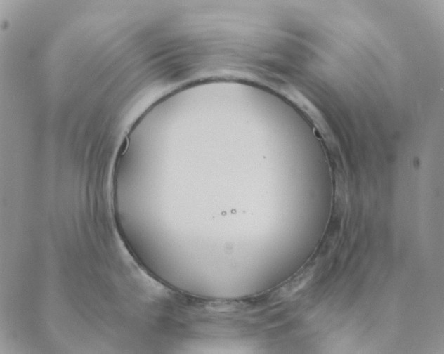 X0000089361199200707061041