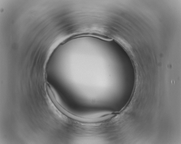 X0000089361200200707061041