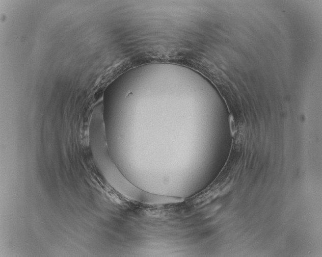 X0000089361202200707061041