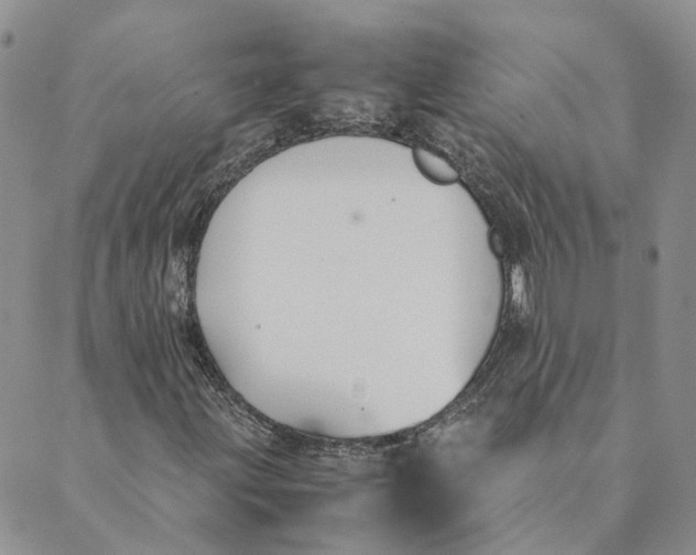 X0000089361203200707061041