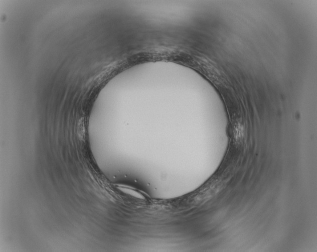 X0000089361204200707061041