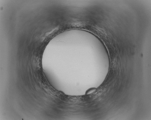 X0000089361205200707061041