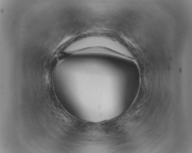 X0000089361206200707061041