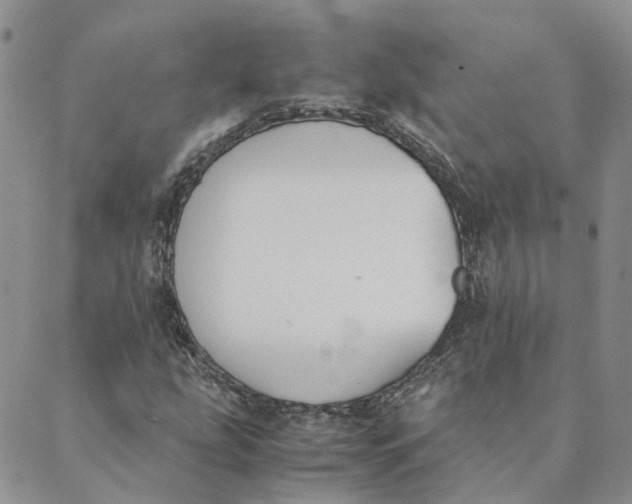 X0000089361207200707061041