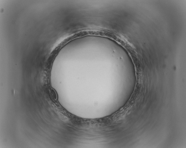 X0000089361208200707061041