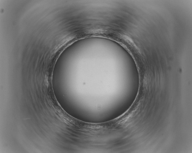 X0000089361209200707061041