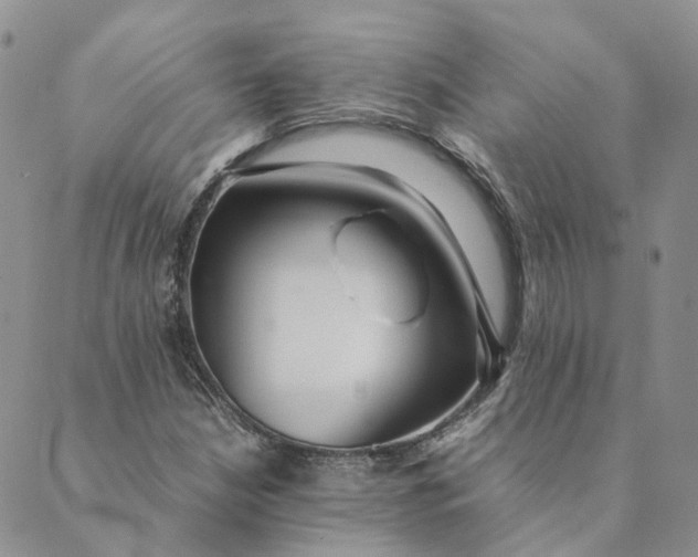 X0000089361210200707061041