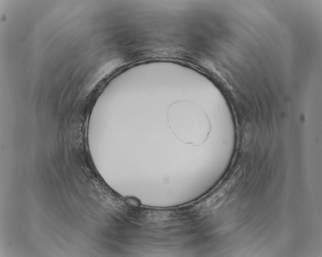 X0000089361211200707061041