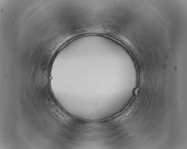 X0000089361212200707061041