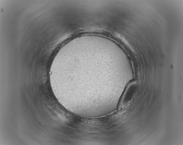 X0000089361213200707061041