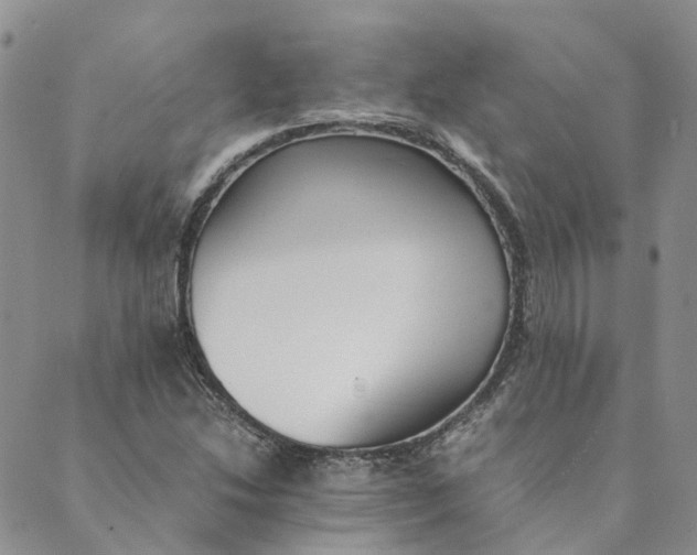 X0000089361214200707061041