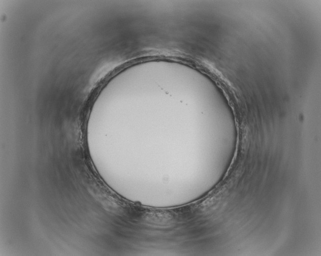 X0000089361215200707061041