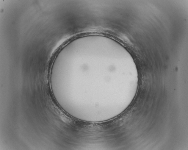 X0000089361216200707061041