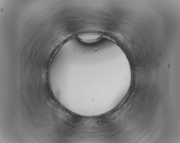 X0000089361217200707061041