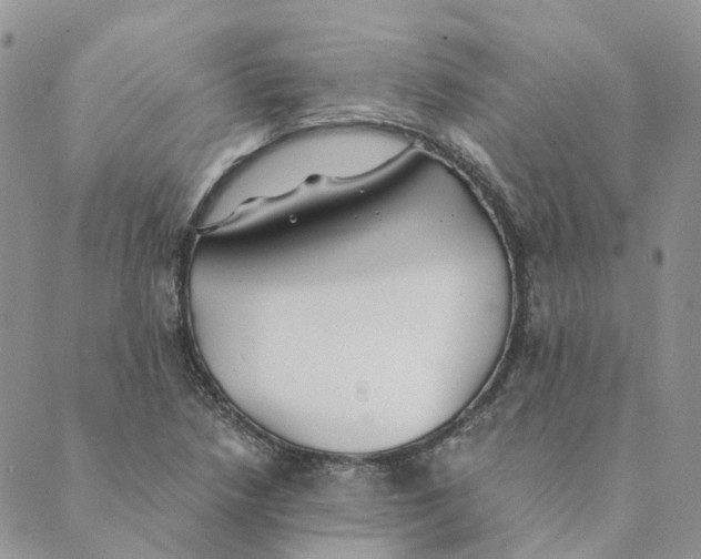 X0000089361218200707061041