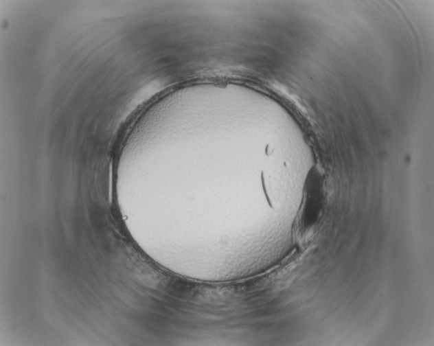 X0000089361219200707061041