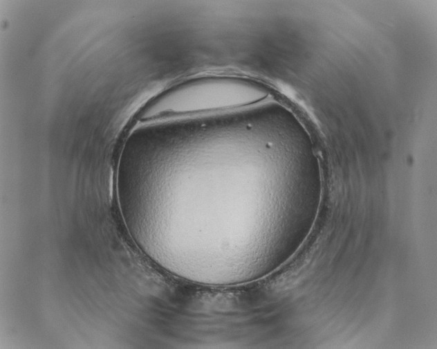 X0000089361221200707061041