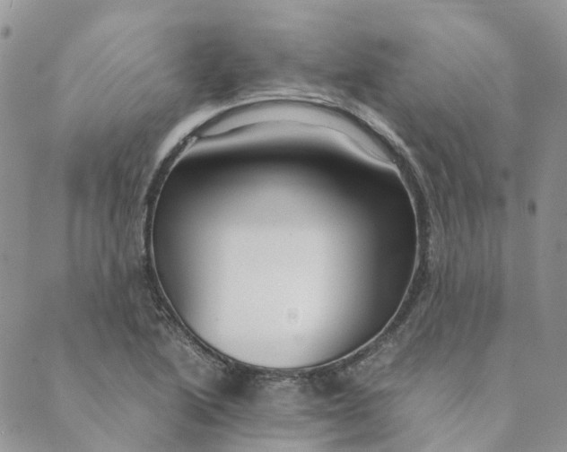 X0000089361222200707061041