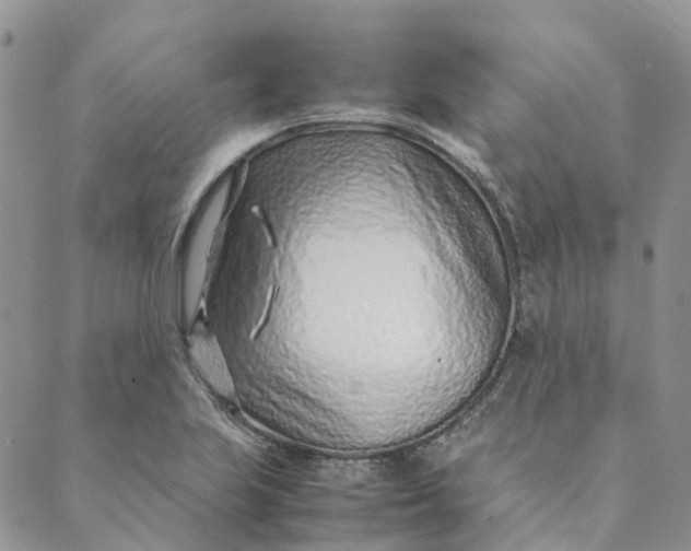 X0000089361223200707061041