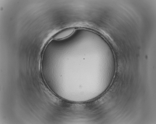 X0000089361224200707061041