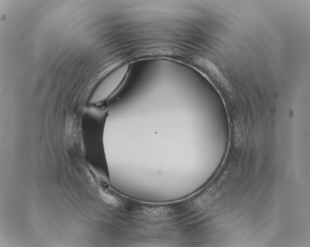 X0000089361225200707061041