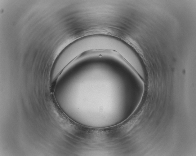 X0000089361226200707061041