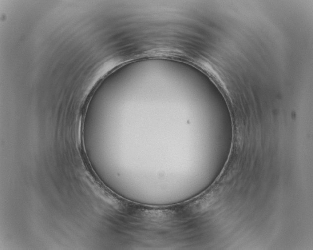 X0000089361227200707061041