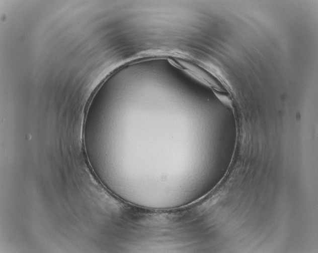 X0000089361228200707061041