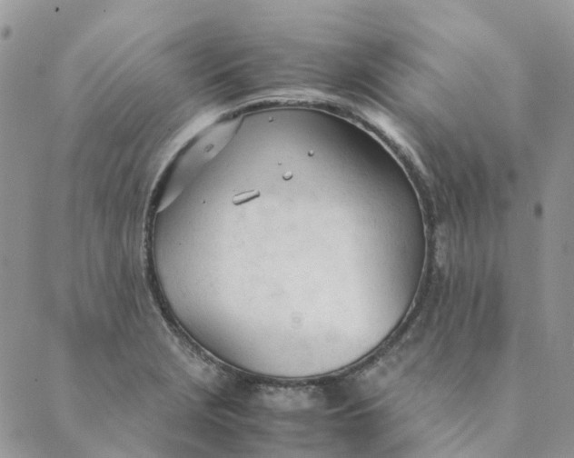 X0000089361229200707061041